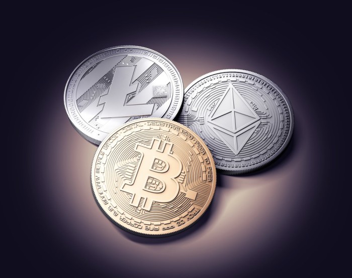 Bitcoin-Litecoin-Ethereum payments